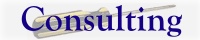 Consulting Services